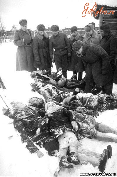 Гатчина - Злодеяния гитлеровцев. Гатчина, январь 1944 г.
