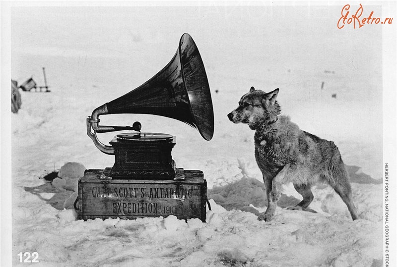 Разное - Собака и граммофон