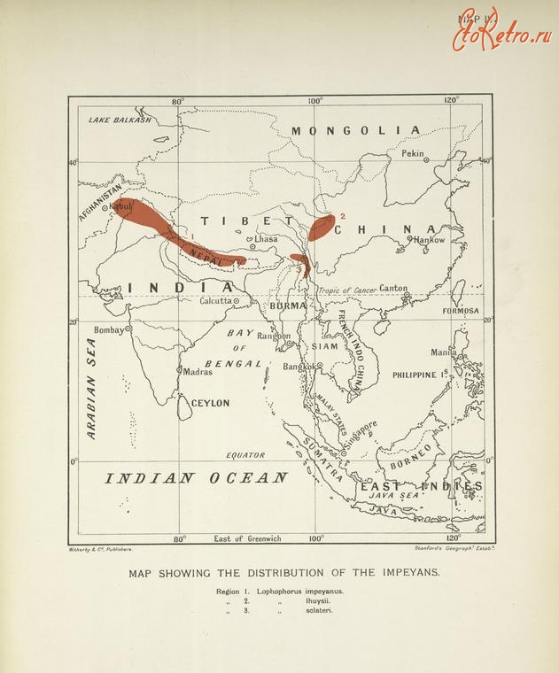 Разное - Карта обитания фазанов группы импеанов, 1918-1922