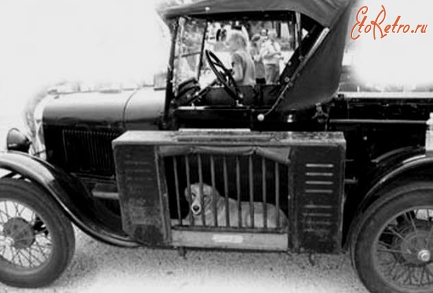 Ретро автомобили - Устройство для перевозки собак