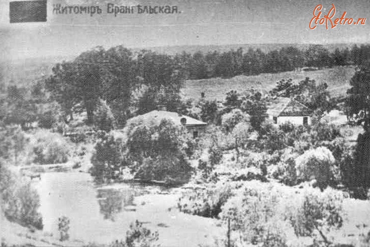 Житомир - Дачи на Врангеливке над берегом  речки Лесной.