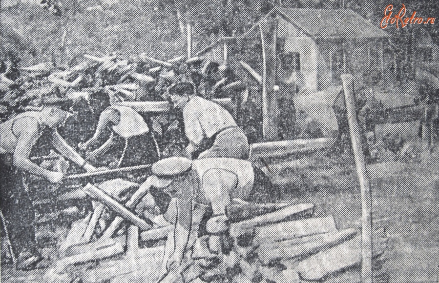 Житомир - Піляння та рубання дров  на шкільному подвір