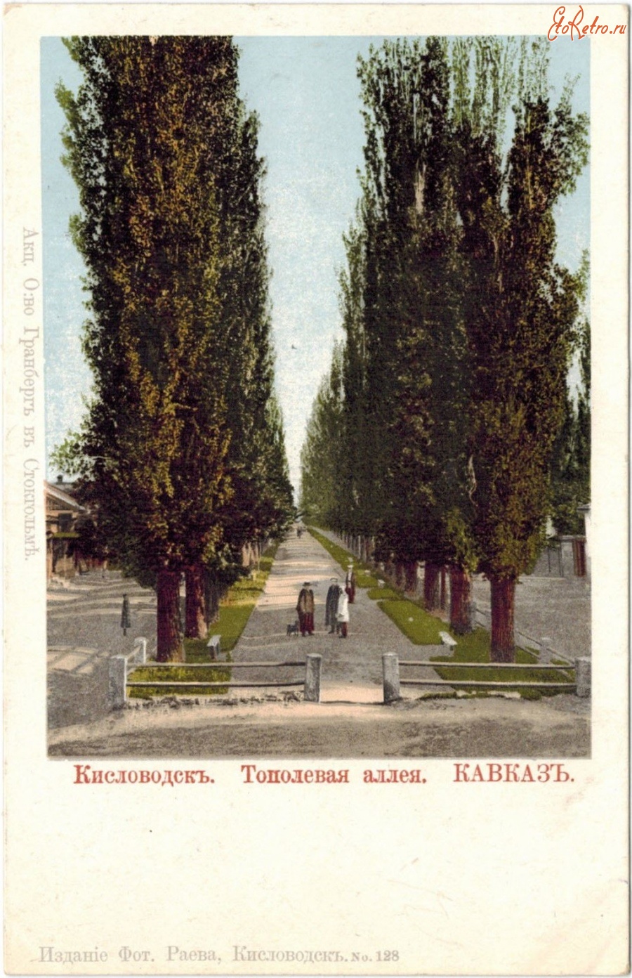 Кисловодск - Аллея тополей от галереи Нарзан, в цвете