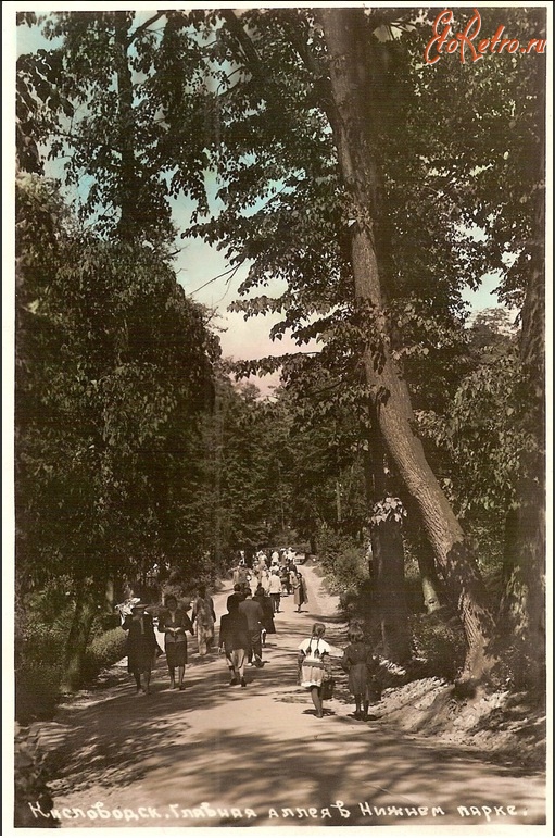 Кисловодск - Главная аллея в Нижнем парке