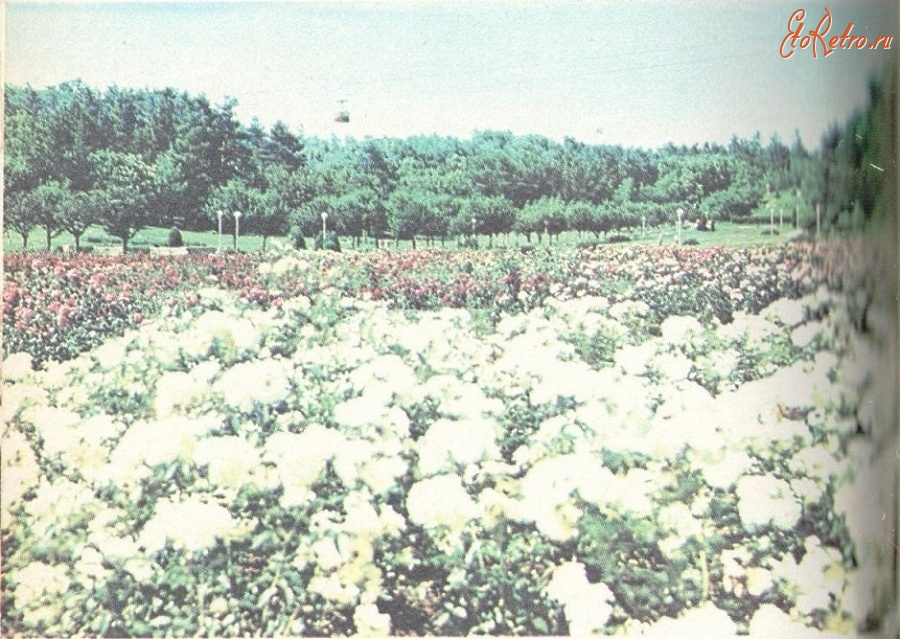 Кисловодск - Долина роз в горной части лечебной части лечебного парка