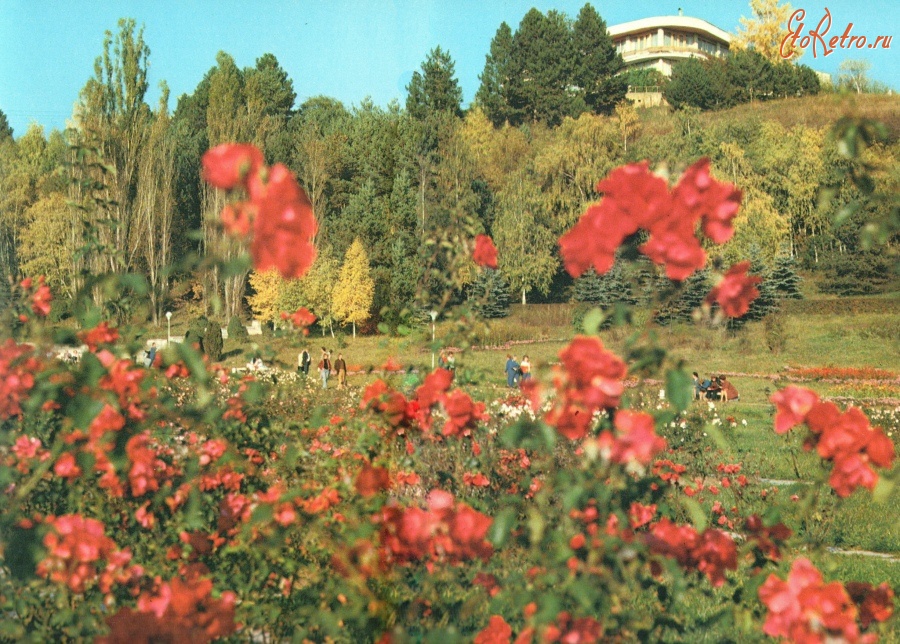 Кисловодск - Долина роз