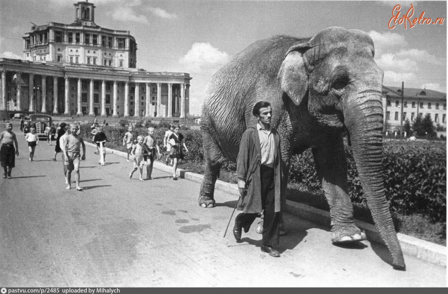 Москва - «По улицам слона водили...» 1945—1950, Россия, Москва,