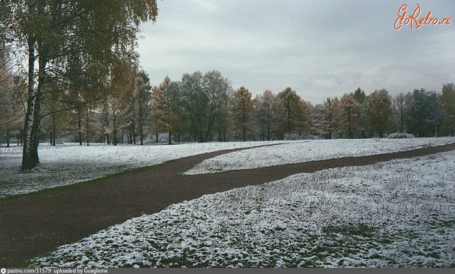 Москва - Измайловский лесопарк. Первый снег