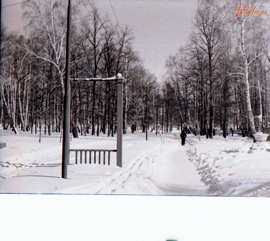 Болохово - Центральная аллея парка зимой 1960 года