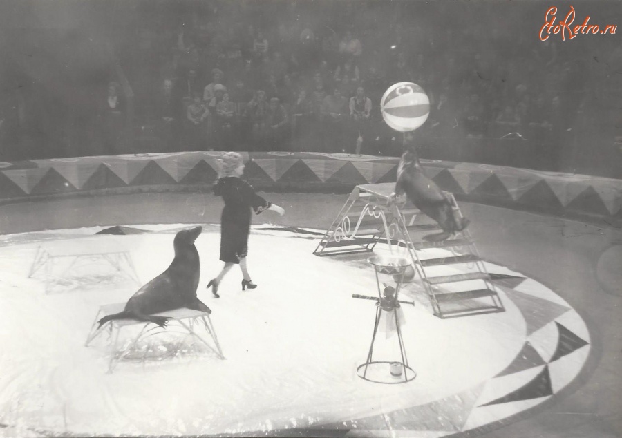 Санкт-Петербург - Представление в Ленинградском цирке в честь его 100-летия в 1978 году
