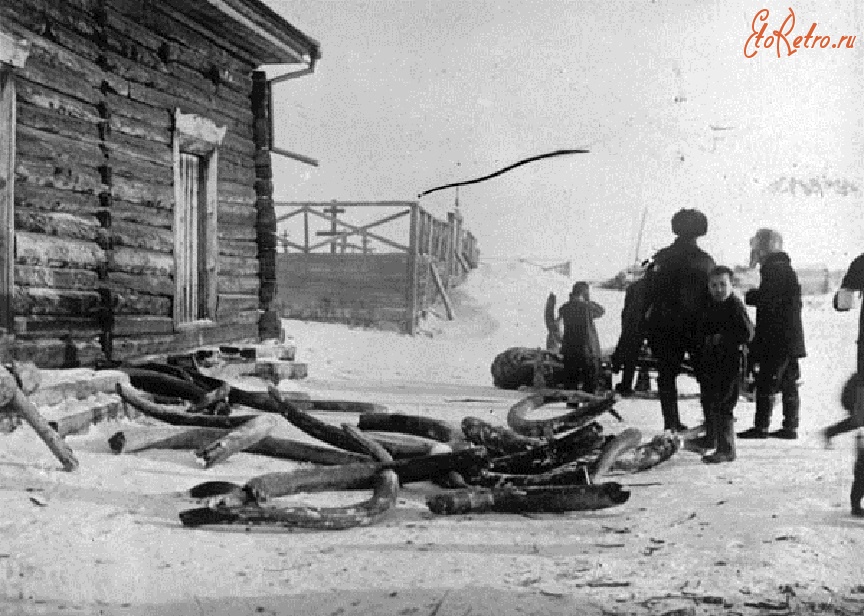 Республика Саха (Якутия) - Доставка мамонтовой кости на торговый пост. Якутия