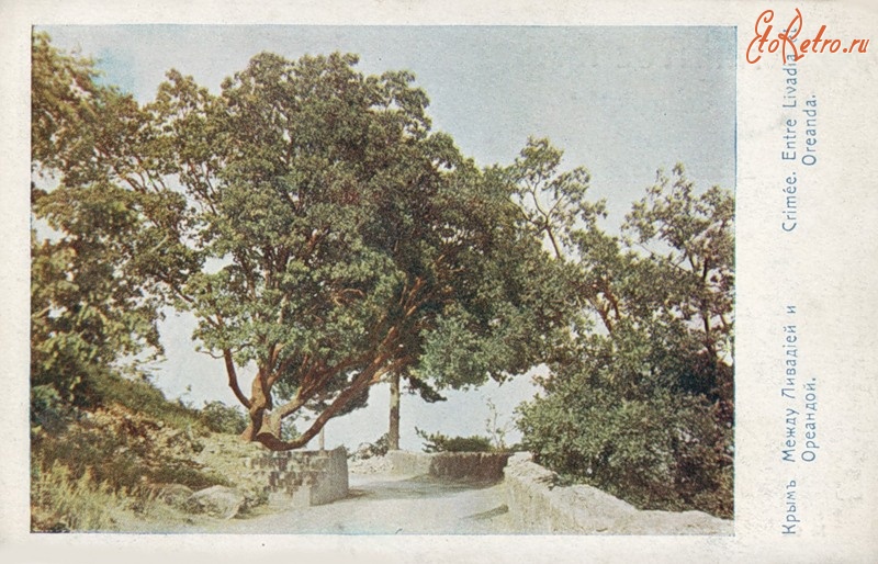 Ливадия - Крым. Между Ливадией и Ореандой, 1905