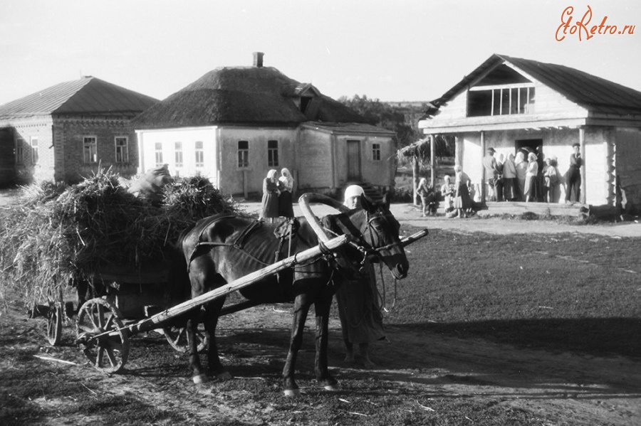 Алексеевка - Село Колтуновка. Фотографии середины 20 века