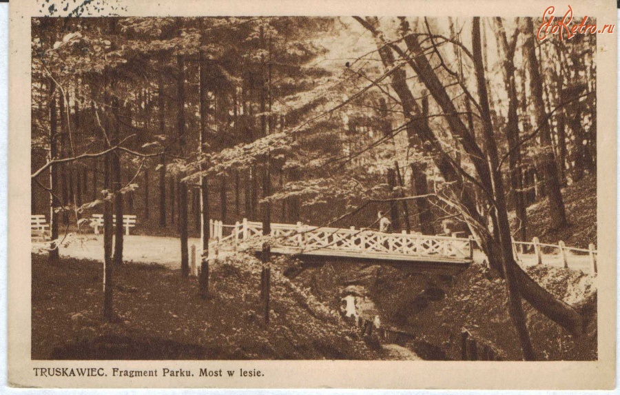 Трускавец - Трускавець. Фрагмент парку.Міст в лісовій частині парку.