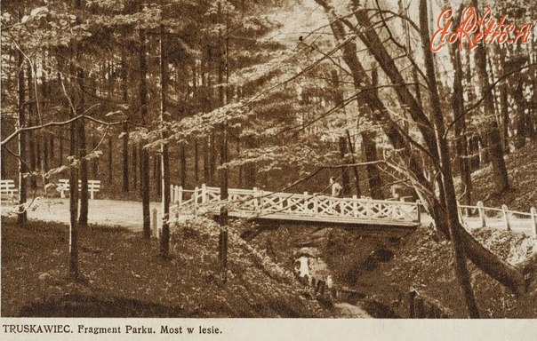Трускавец - Трускавець. Фрагмент парку. Міст в лісі.