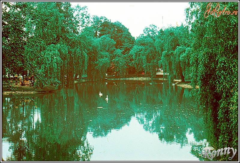 Ивано-Франковск - Озеро в парке Т. Шевченко