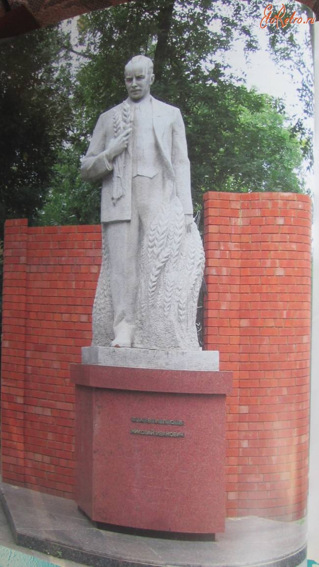 Саратов - Памятник Н.И.Вавилову