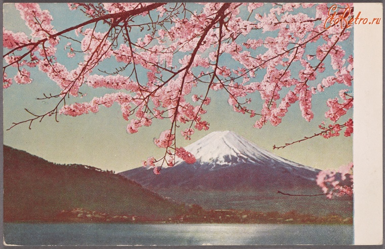 Япония - Гора Фудзи и цветущая сакура, 1915-1930
