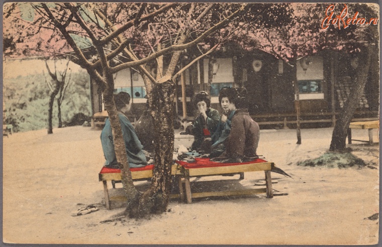 Япония - Чайная церемония в саду, 1907-1918