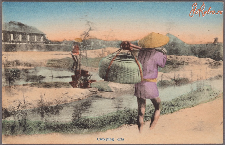 Япония - Ловля угря в прудах, 1919-1919
