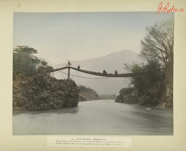 Япония - Подвесной мост из глицинии в Сан-шю