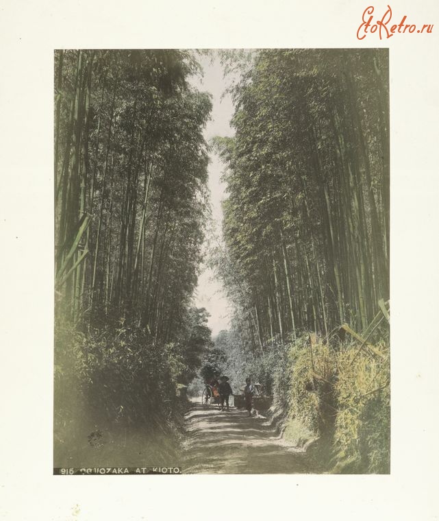 Киото - Дорога Оодзиозака и бамбуковая роща