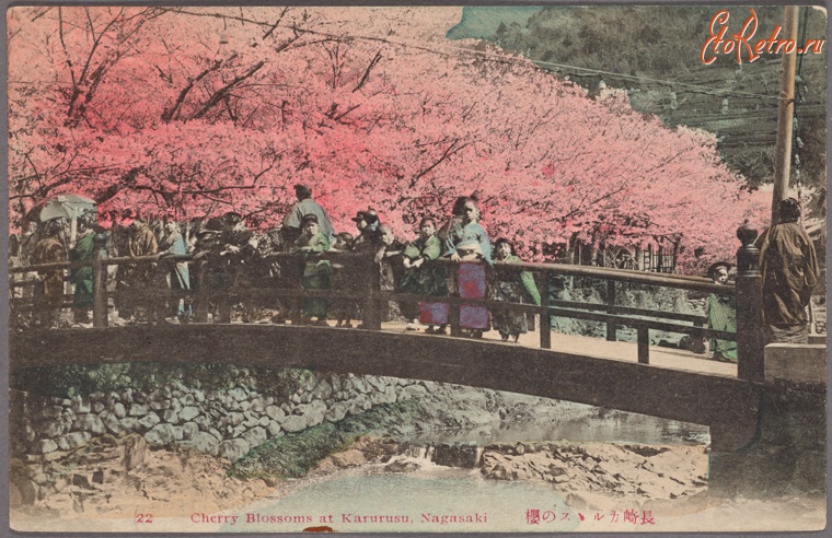 Нагасаки - Цветение сакуры в Карурусу, 1907-1918