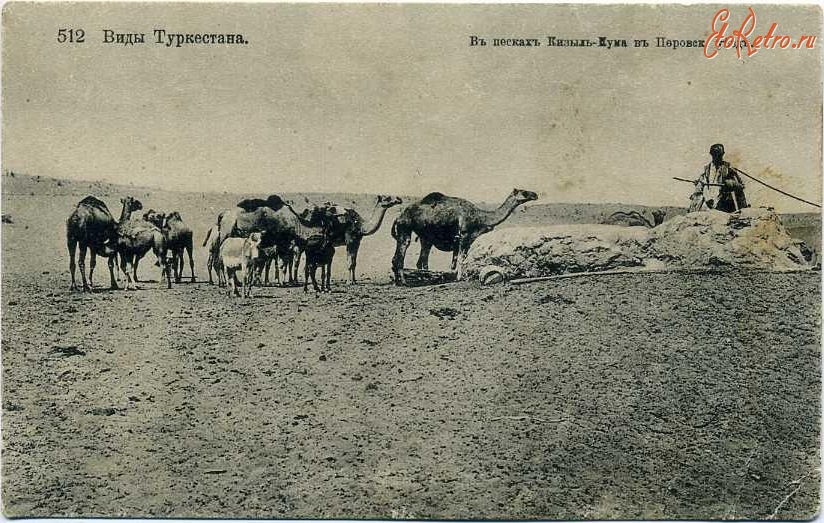 Кызылординская область - На песках Кызыл-Кума в Перовском уезде