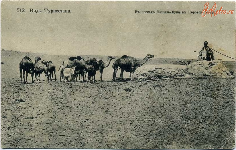 Кызылординская область - В песках Кызыл-Кума в Перовском уезде