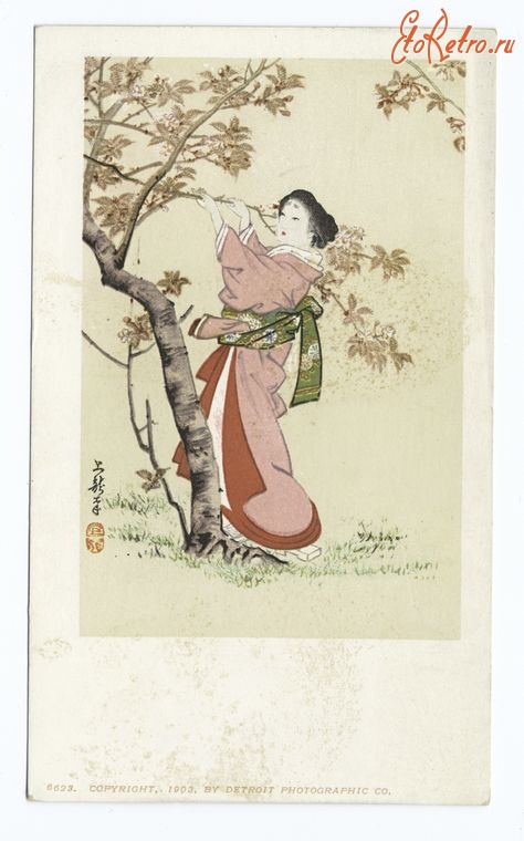Ретро мода - Женщина в розовом кимоно у цветущей сакуры, 1902-1903