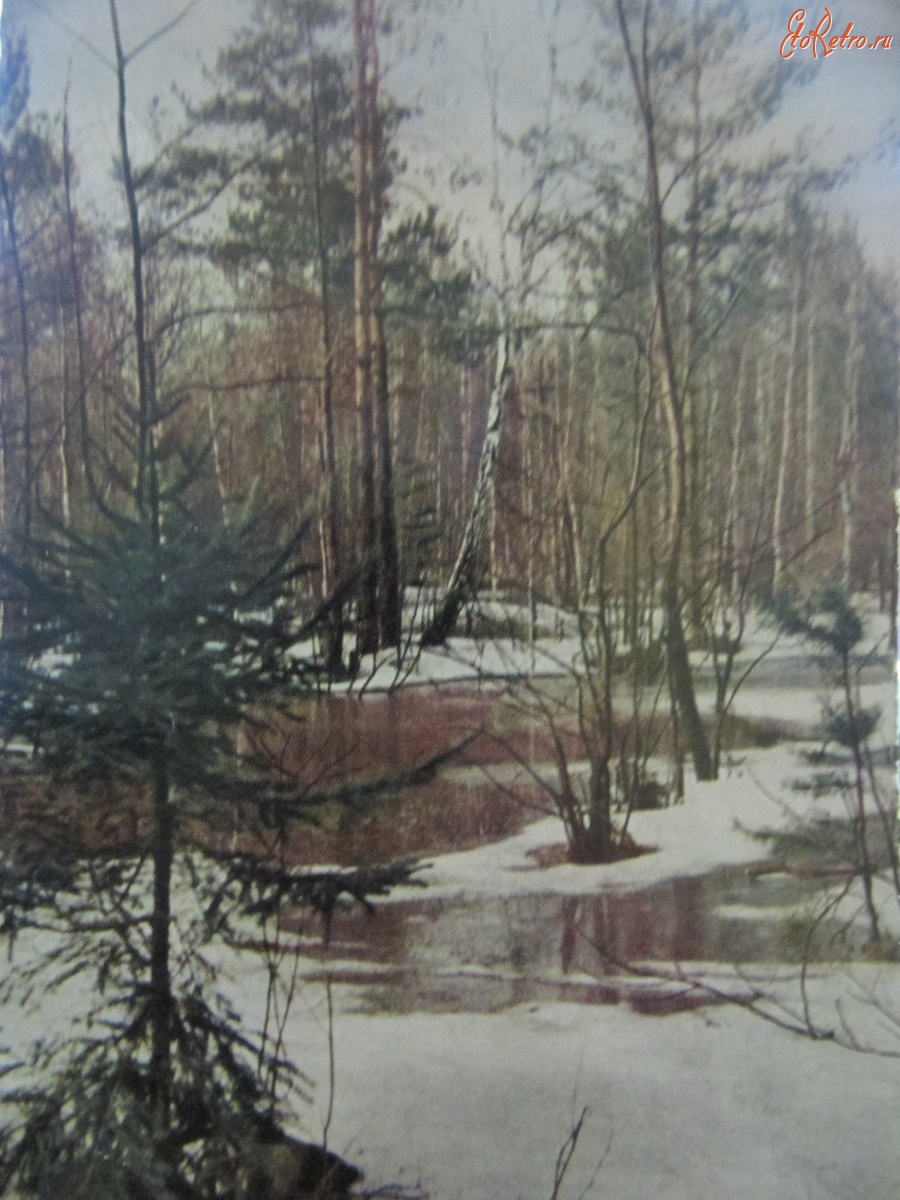 Ретро открытки - Русская природа