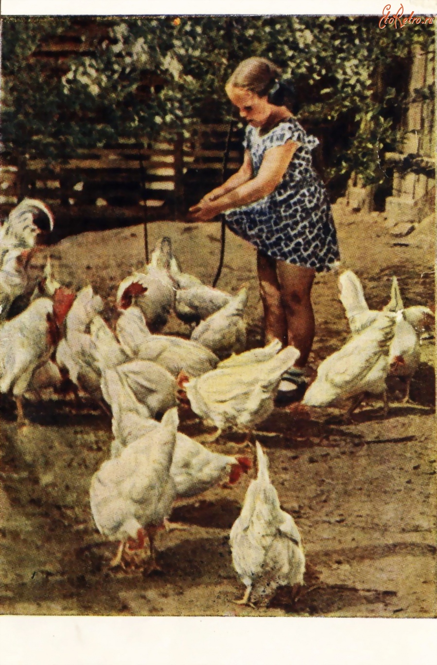 Ретро открытки - На птичьем дворе