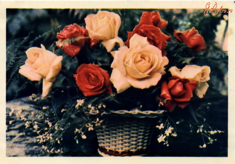Ретро открытки - Корзинка с розами