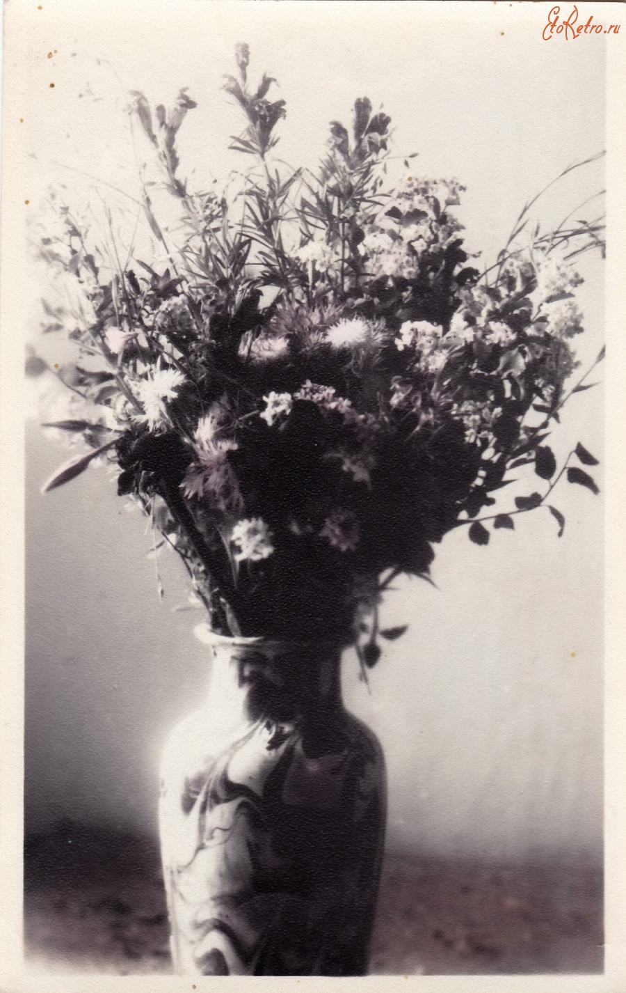 Ретро открытки - Букет полевых цветок