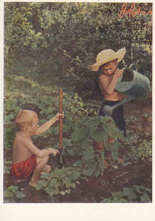 Ретро открытки - Юные садоводы