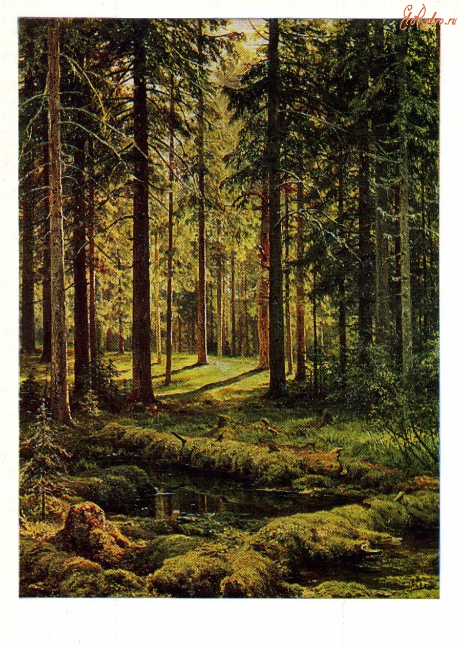 Ретро открытки - И.И.Шишкин. Пейзаж.1895 г.