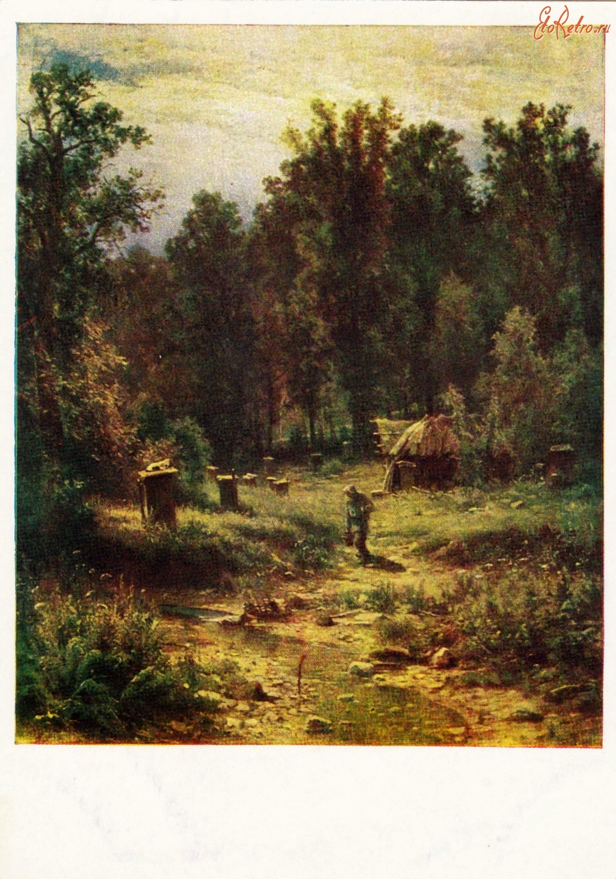 Ретро открытки - Пасека в лесу