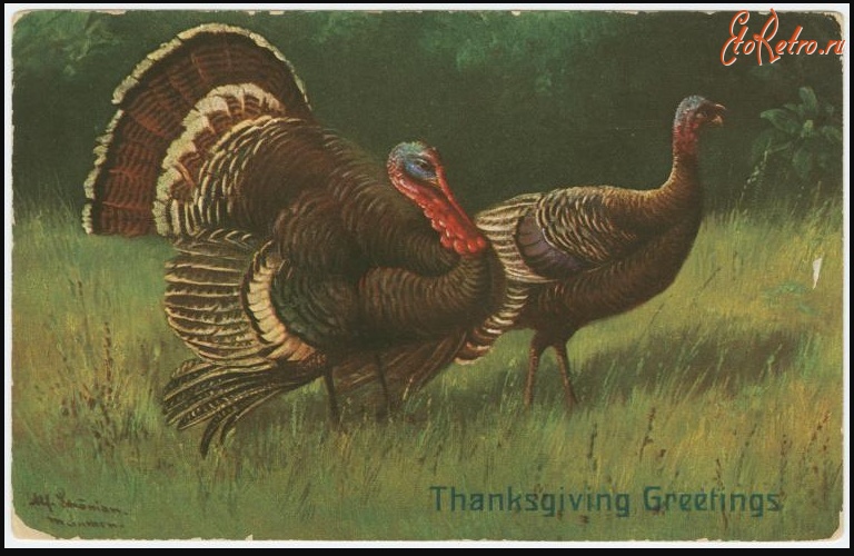 Ретро открытки - День благодарения, 1907