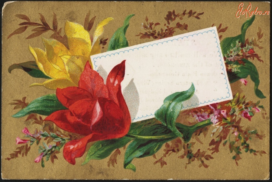 Ретро открытки - Букет тюльпанов