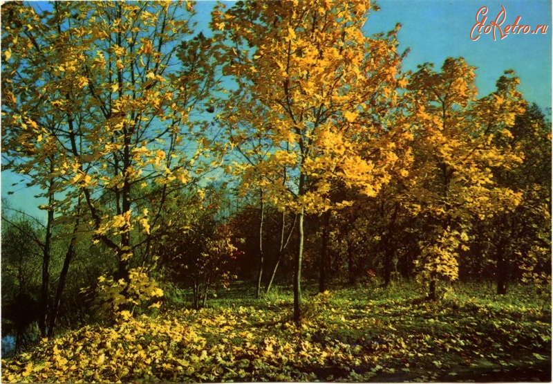Ретро открытки - Осень