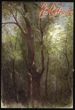 Ретро открытки - Ретро-поштівка.  Дерева в парку. Польський живопис.