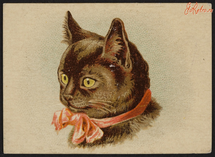Ретро открытки - Серая кошка с красным бантом