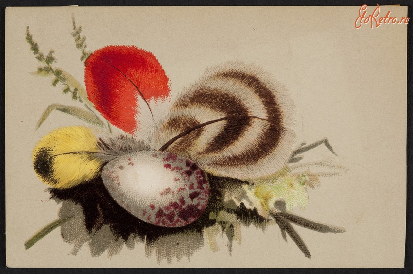 Ретро открытки - Птичье яйцо в гнезде из перьев