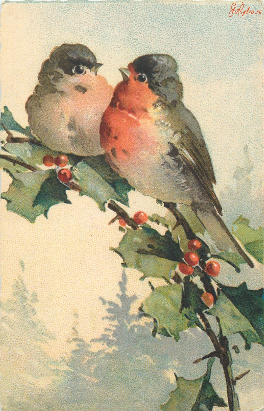 Ретро открытки - Две малиновки в зимнем лесу