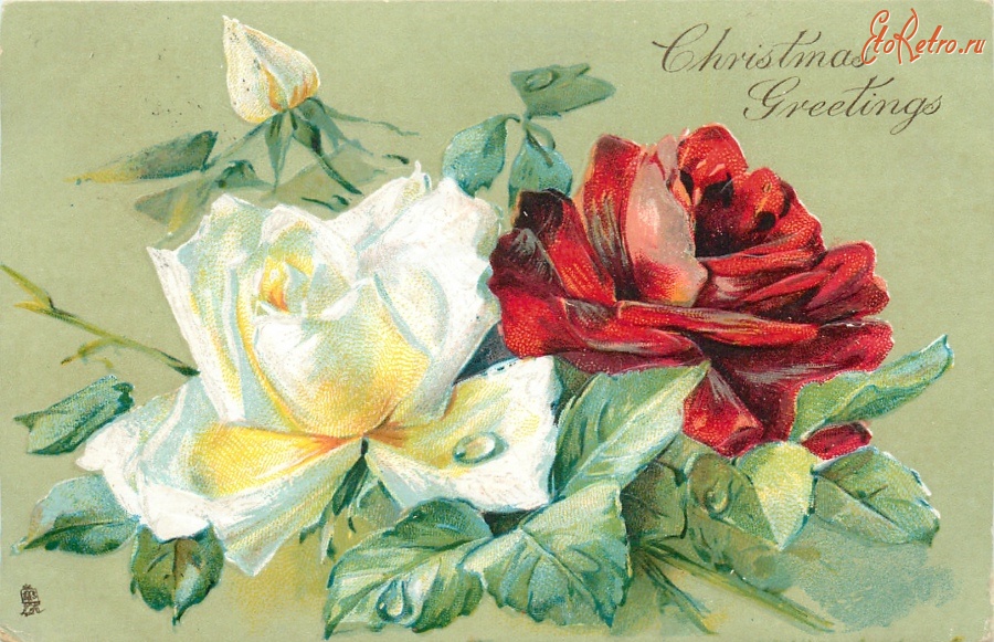 Ретро открытки - С Рождеством. Белая и красная розы