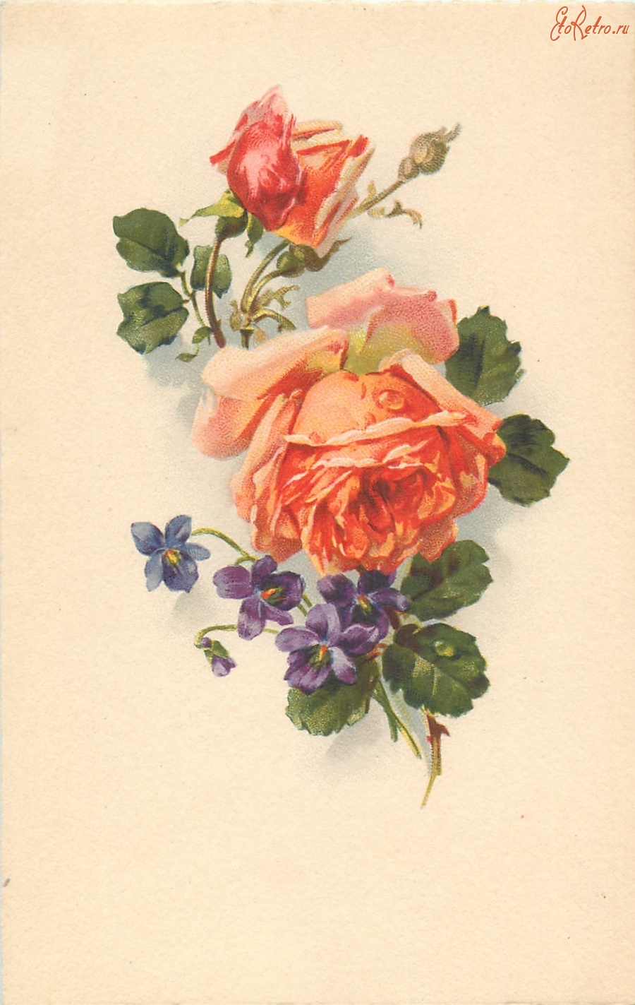 Ретро открытки - Оранжевая роза и фиалки