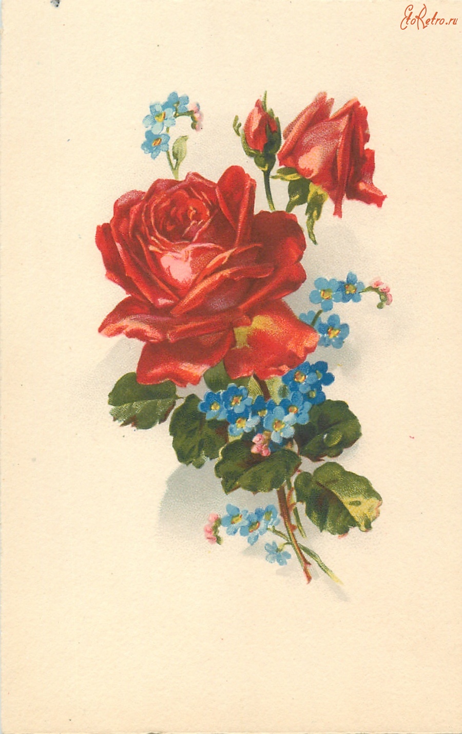 Ретро открытки - Красные розы с бутонами и незабудки