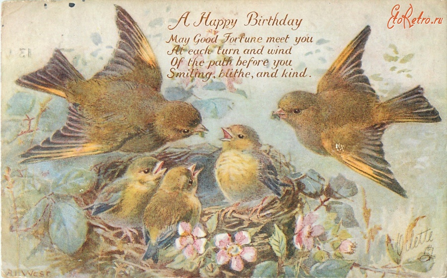 Ретро открытки - Пара зябликов у гнёзда с птенцами на ветке цветущей яблони