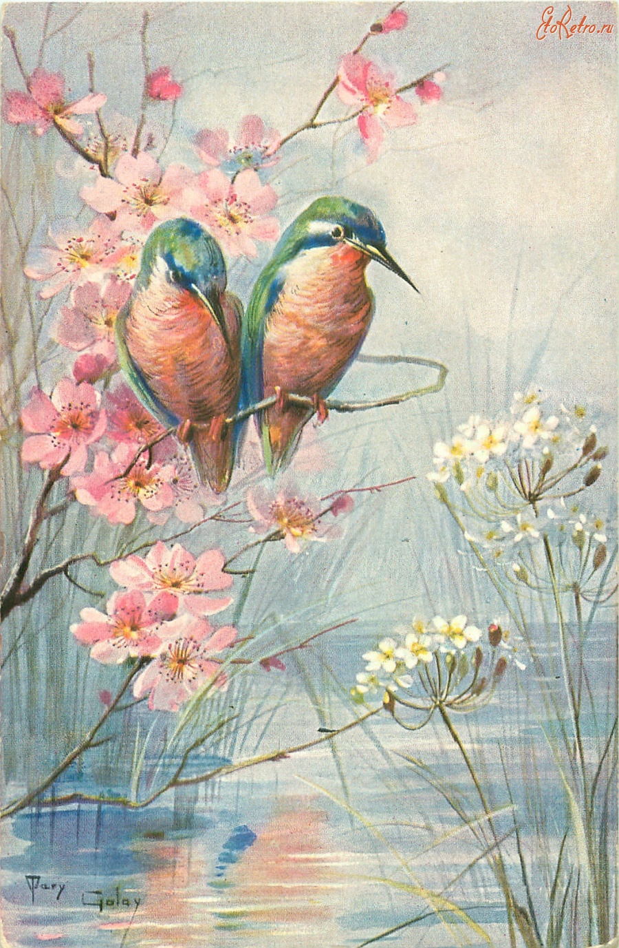 Ретро открытки - Зимородки на цветущей ветке над прудом с белыми цветами камыша
