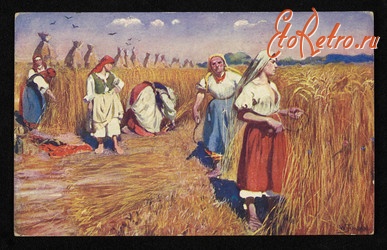 Ретро открытки - Ретро-поштівка.  Жнива. Wl.Tetmajer. Польське малярство.